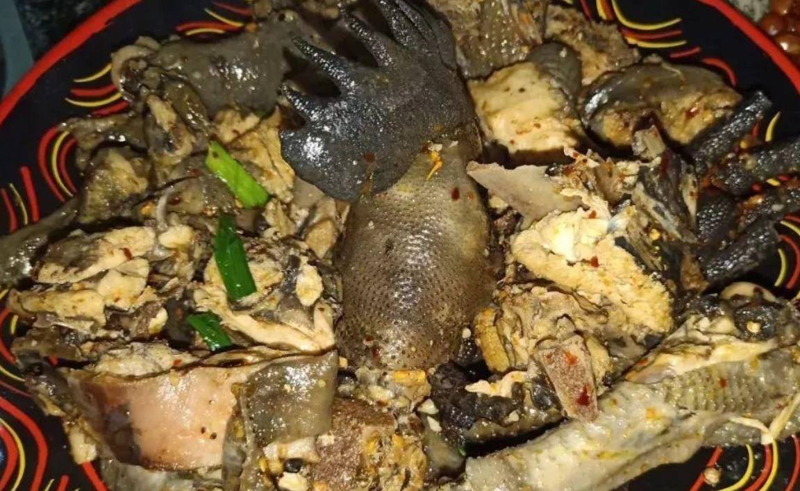 原创 农家乐为何频频关门？经营者吐露心声，说的全是大实话5