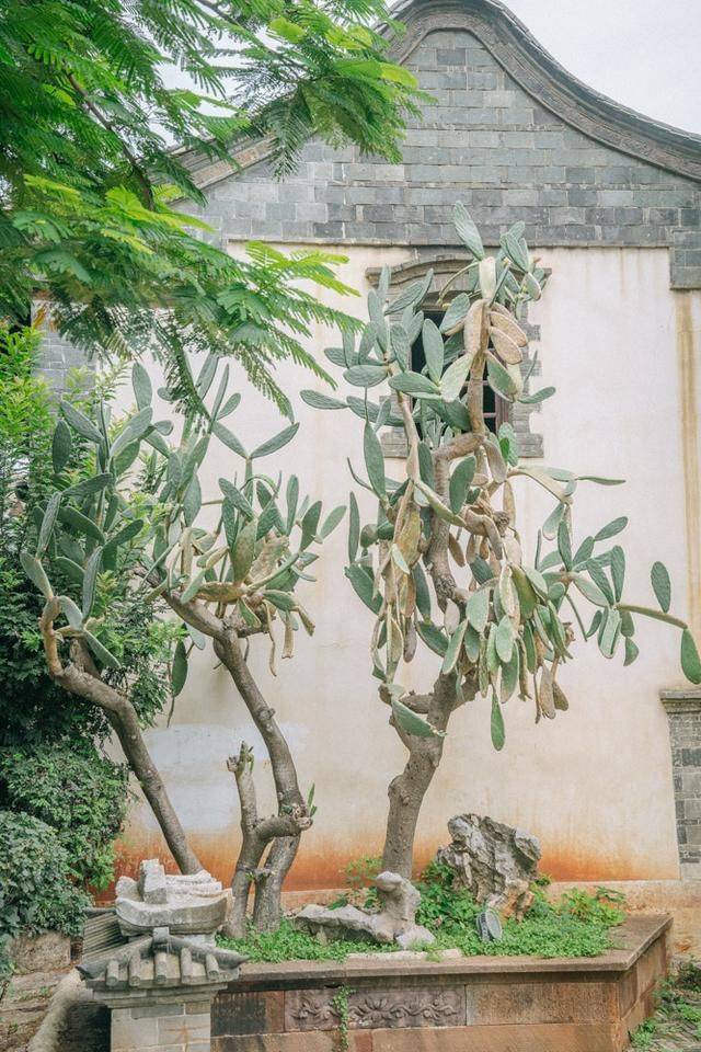 这里比丽江美,是云南最低调的古城,2022点一定要来打卡12