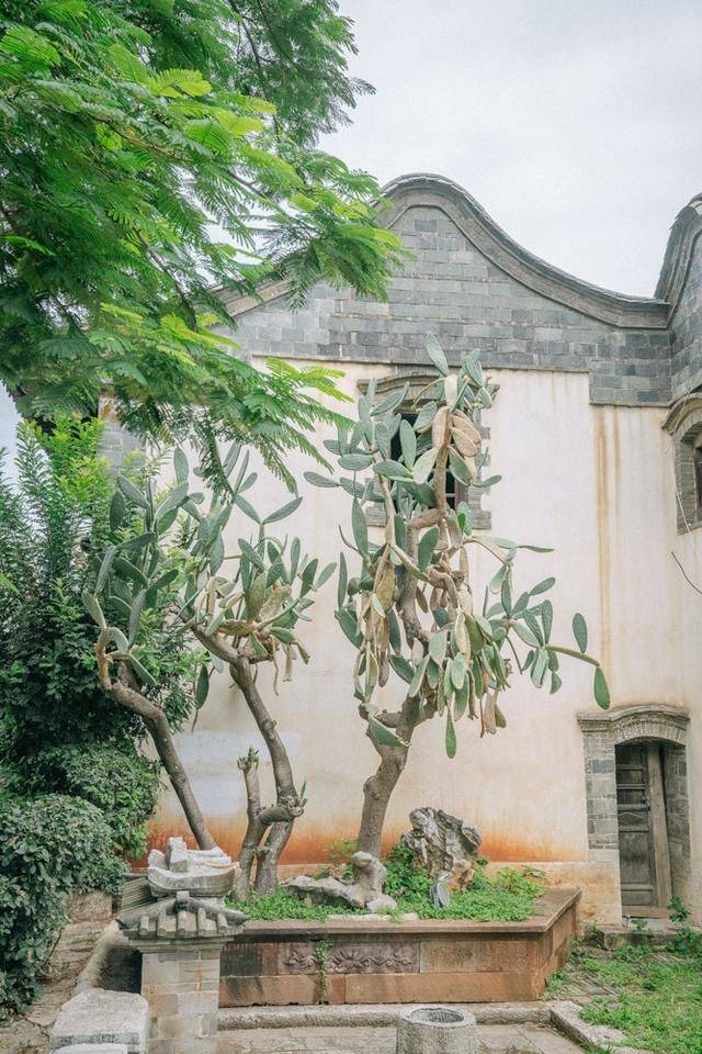 这里比丽江美,是云南最低调的古城,2022点一定要来打卡13