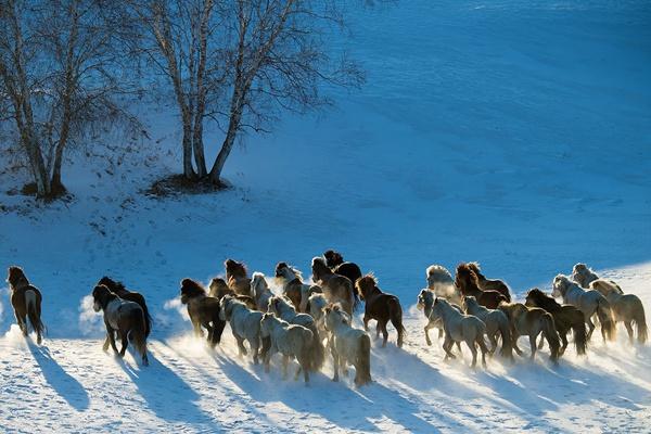 2022年春节内蒙古去哪玩?这份冬季春节旅游路线和景区推荐别错过1
