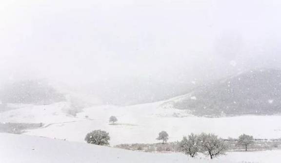 原创 来银装素裹的阿鲁科尔沁,听一曲草原上的“冬日恋歌”……6