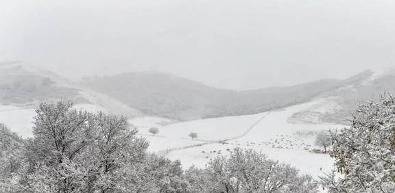 原创 来银装素裹的阿鲁科尔沁,听一曲草原上的“冬日恋歌”……11