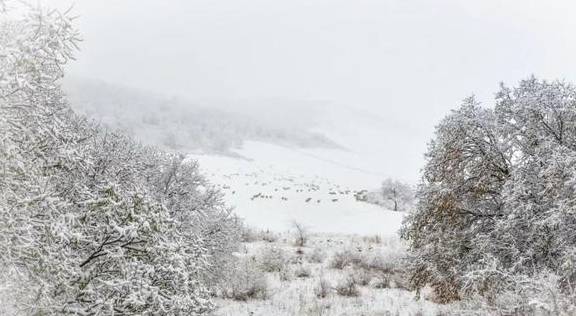 原创 来银装素裹的阿鲁科尔沁,听一曲草原上的“冬日恋歌”……12