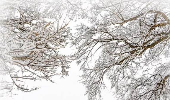 原创 来银装素裹的阿鲁科尔沁,听一曲草原上的“冬日恋歌”……13