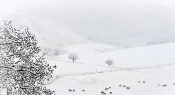原创 来银装素裹的阿鲁科尔沁,听一曲草原上的“冬日恋歌”……14