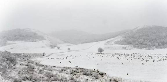 原创 来银装素裹的阿鲁科尔沁,听一曲草原上的“冬日恋歌”……23
