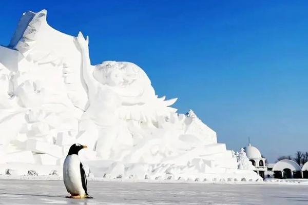 2022哈尔滨春节去哪里玩比较好2