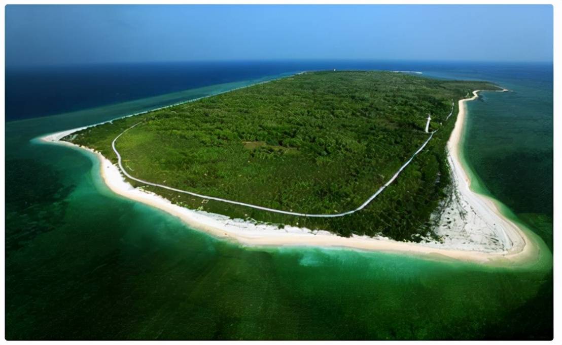 原创 西沙东岛出现上百头野牛，周边都是海洋，它们是怎么来的？1