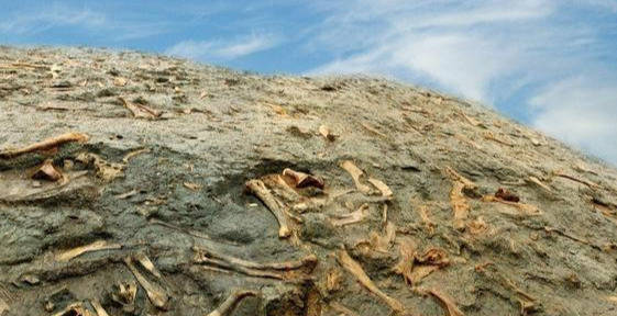 原创 如果海水由咸水变成淡水，那么地球气候会发生什么变化？6