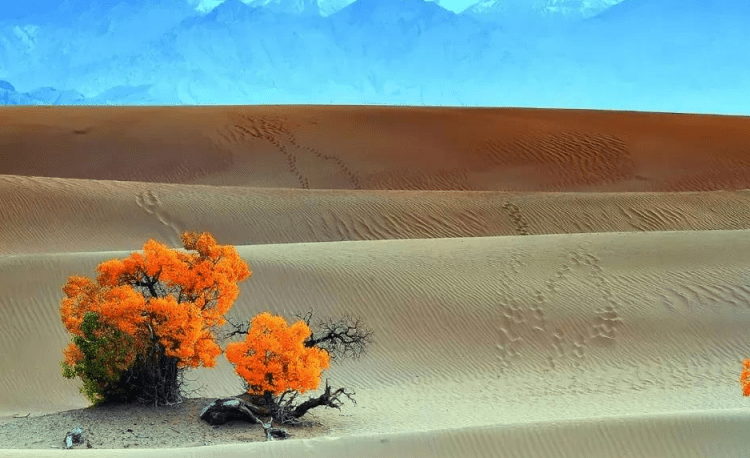 原创 青海的这个小城有福了,已成为国家级交通枢纽,景点众多资源丰富5