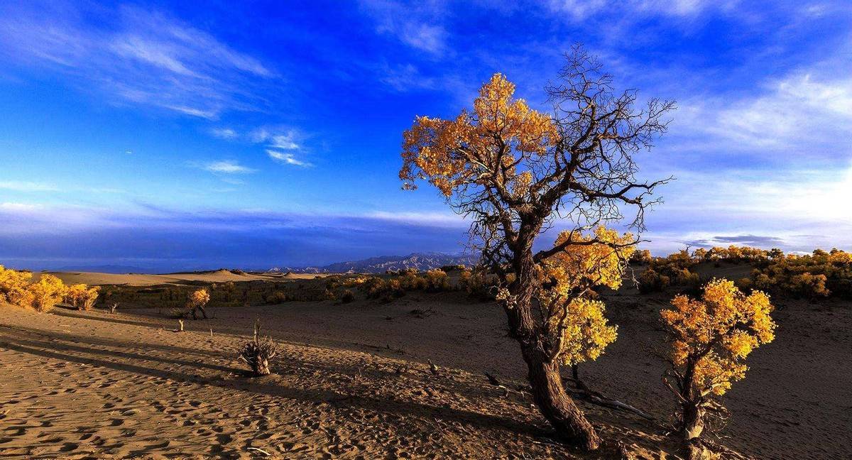 原创 青海的这个小城有福了,已成为国家级交通枢纽,景点众多资源丰富6