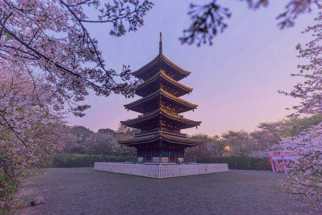 春天最美的四个赏樱地,带着心爱的老伴,去看看吧7