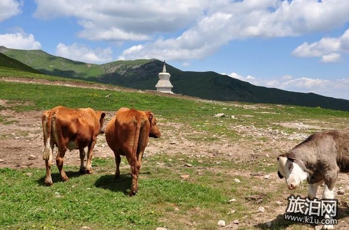 北京到五台山开车多长时间(附自驾游路线)2