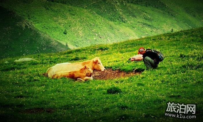 北京到五台山开车多长时间(附自驾游路线)3