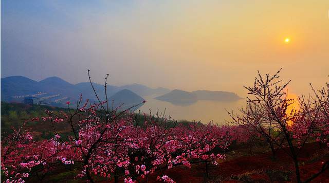 坐拥1390个岛屿,舟山群岛的这些低调小岛,简直美翻了5