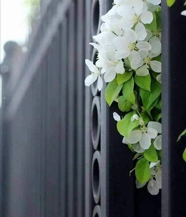 晚年，不婚不育，她依旧惊艳了时光2