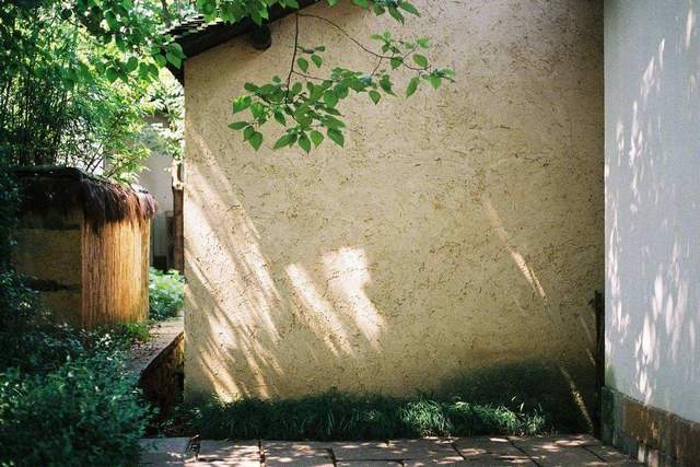 晚年，不婚不育，她依旧惊艳了时光3