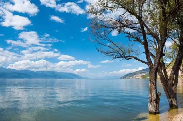 让人羡慕的旅居生活:带着妻子和两条狗,跑了大半个中国4