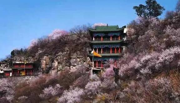 原创 就地过年,河南补贴来了!爬山小白爱的神山对非焦作籍人员免门票3