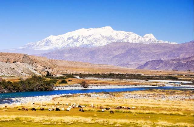 中国也有国家公园啦!首批名单公布,堪称“有生命的国家宝藏”6