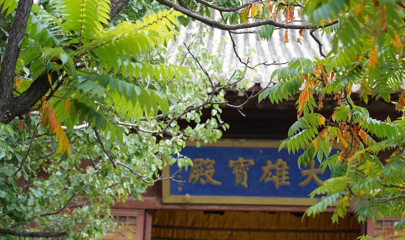 原创 山西有个小县，藏有中国唯一的纯木构古塔，值得去旅行10