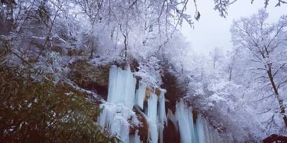 原创 洛阳又一处适合冬游的地方，这个刚满一岁的4A级景区，北国雪乡1