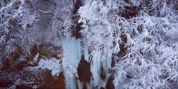 原创 洛阳又一处适合冬游的地方，这个刚满一岁的4A级景区，北国雪乡2
