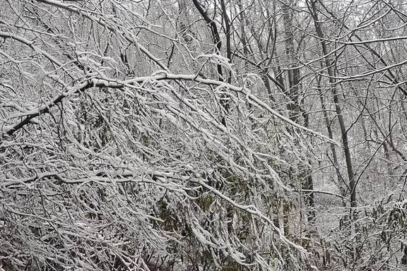 原创 洛阳又一处适合冬游的地方，这个刚满一岁的4A级景区，北国雪乡5