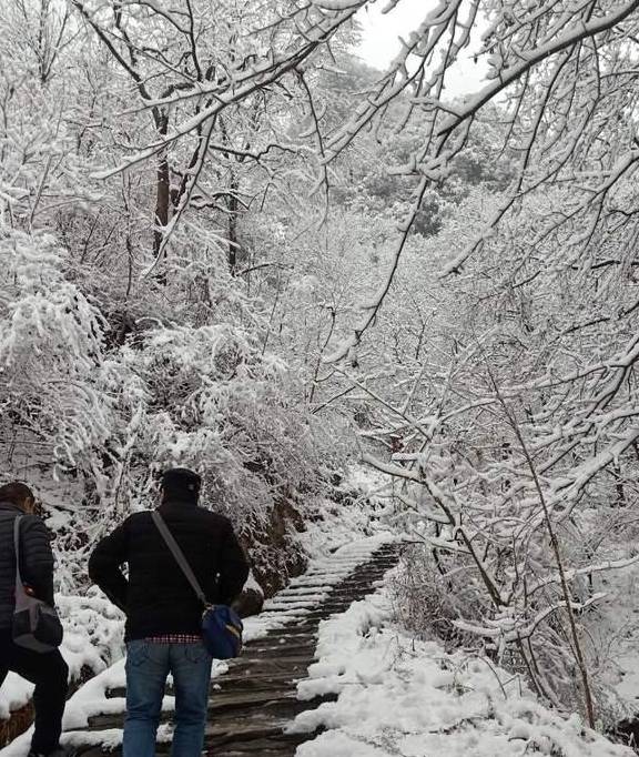原创 洛阳又一处适合冬游的地方，这个刚满一岁的4A级景区，北国雪乡7