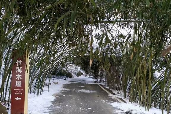 原创 洛阳又一处适合冬游的地方，这个刚满一岁的4A级景区，北国雪乡9