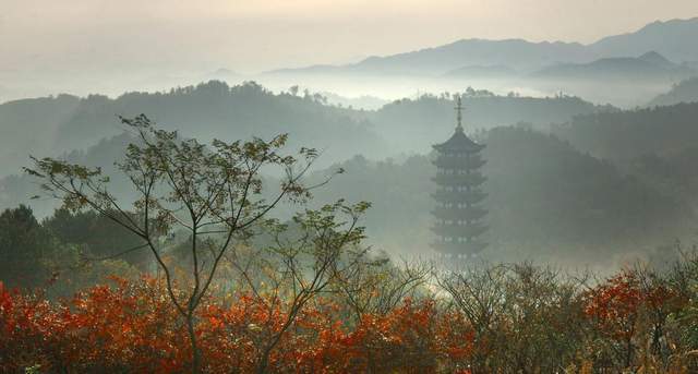 杭台高铁已正式开通，沿途全是美景美食，一路玩遍半个浙江6