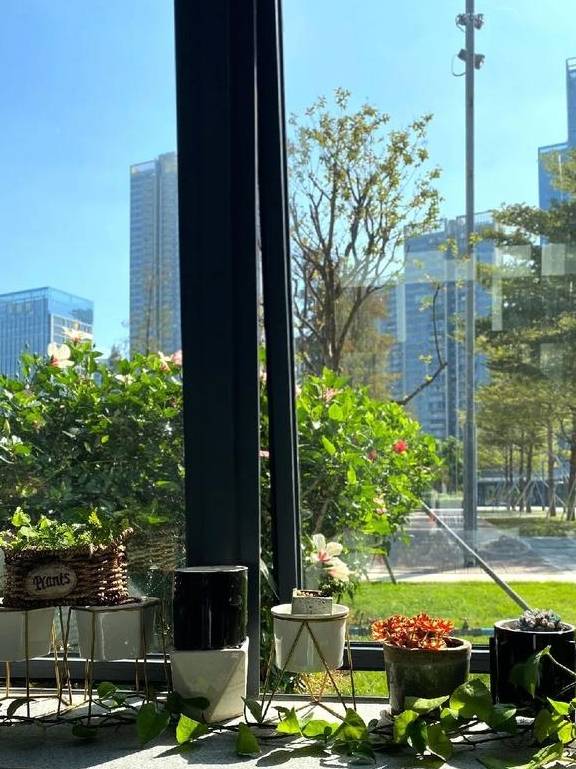 原创 藏在深圳富人区的「爱情公园」，火了7