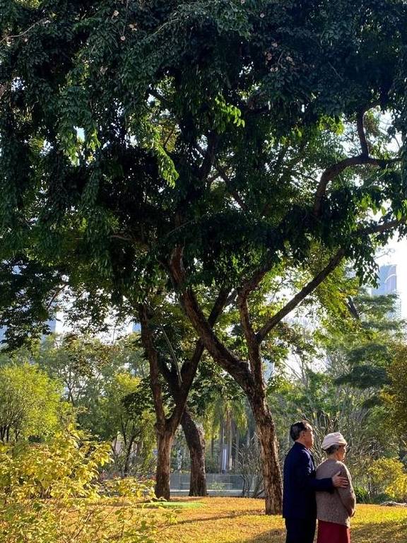 原创 藏在深圳富人区的「爱情公园」，火了13