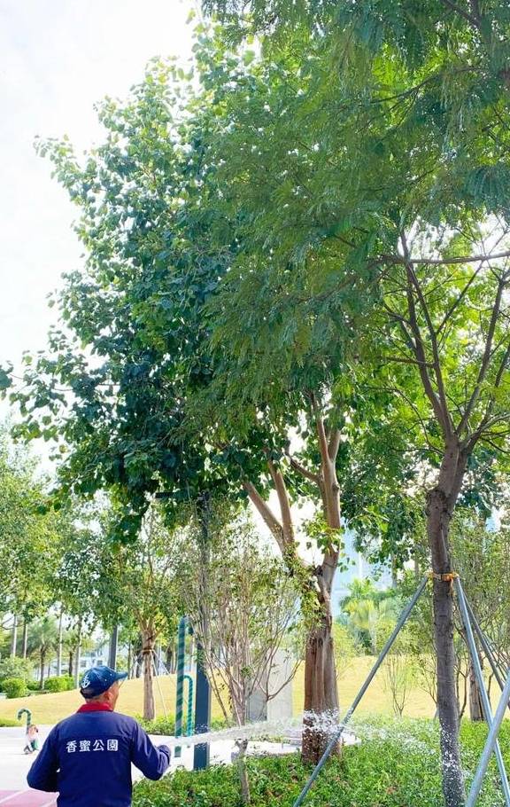 原创 藏在深圳富人区的「爱情公园」，火了15