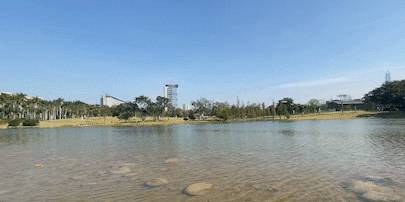 原创 藏在深圳富人区的「爱情公园」，火了18