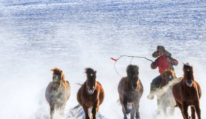 原创 -30℃的坝上草原星空太美，自驾游客太大意，差点有去无回1