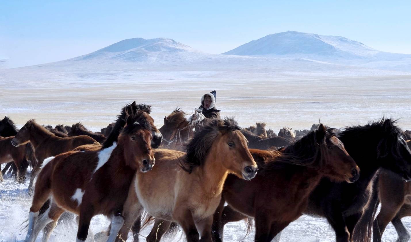 原创 -30℃的坝上草原星空太美，自驾游客太大意，差点有去无回3