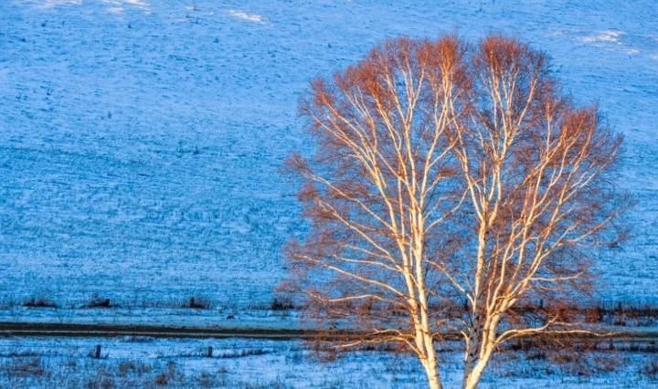 原创 -30℃的坝上草原星空太美，自驾游客太大意，差点有去无回6