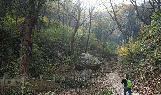 原创 去西安秦岭爬“野山”,沿途寺庙善意举动,游人感动不已2