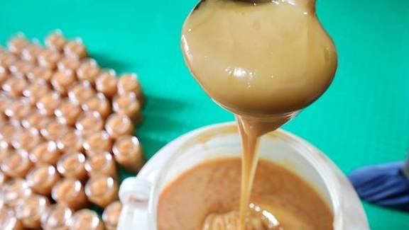 原创 原始森林探蜜之旅:好蜜来得太不容易,敬佩坚持三十七年的取蜜人1