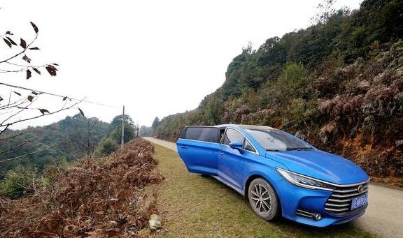 原创 原始森林探蜜之旅:好蜜来得太不容易,敬佩坚持三十七年的取蜜人2