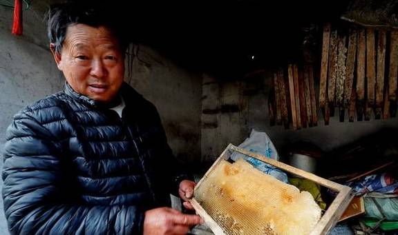 原创 原始森林探蜜之旅:好蜜来得太不容易,敬佩坚持三十七年的取蜜人6