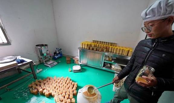 原创 原始森林探蜜之旅:好蜜来得太不容易,敬佩坚持三十七年的取蜜人8