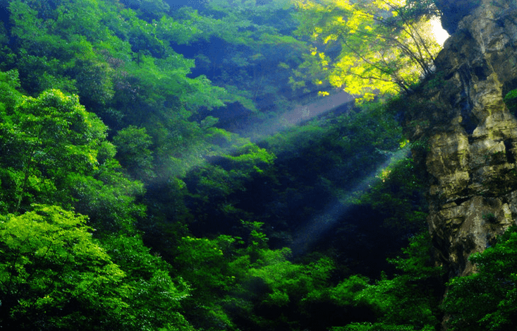 原创 重庆“第一个”被摘牌的景区,屡屡发生宰客事件,如今冷冷清清2