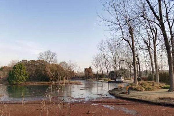 上海世纪公园一日游玩攻略2