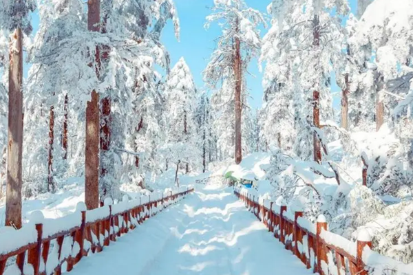 四川滑雪哪里最便宜 这些地方百元玩到嗨1
