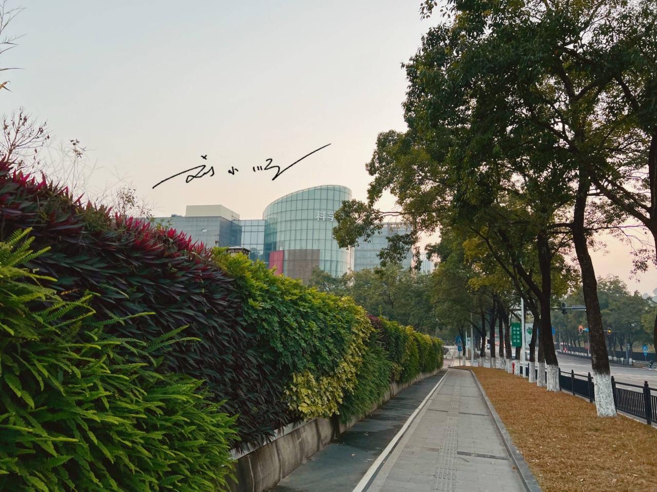 原创 广州东部的一座重要“新城”,原本是偏远郊区,如今房价赶超市区4