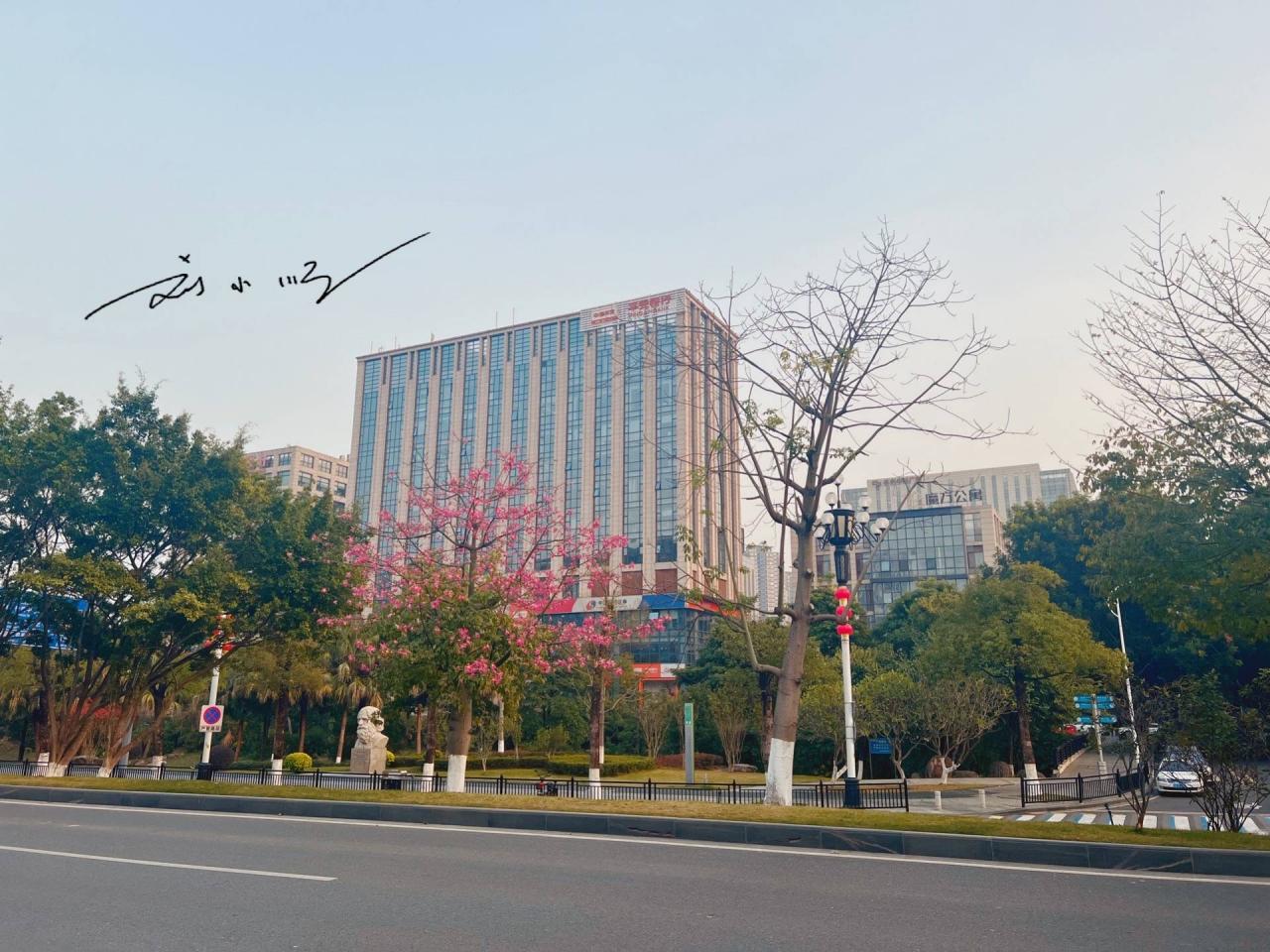 原创 广州东部的一座重要“新城”,原本是偏远郊区,如今房价赶超市区8