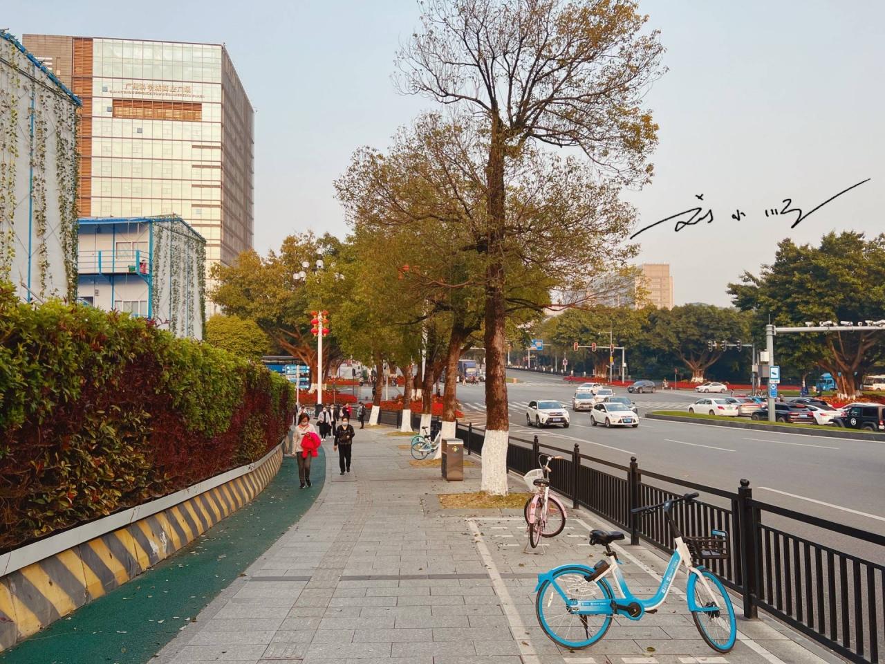 原创 广州东部的一座重要“新城”,原本是偏远郊区,如今房价赶超市区12