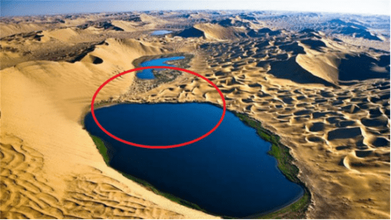 原创 沙漠从来不下雨?一天下完9年降水量,游客:走啊去沙漠看海!1